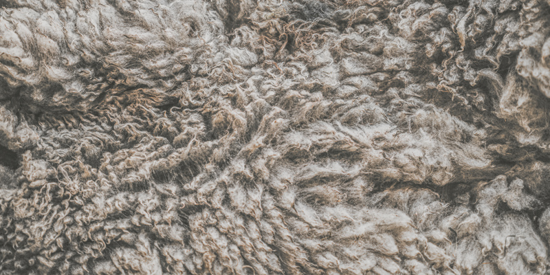 The natural comfort of 100% virgin wool carpets