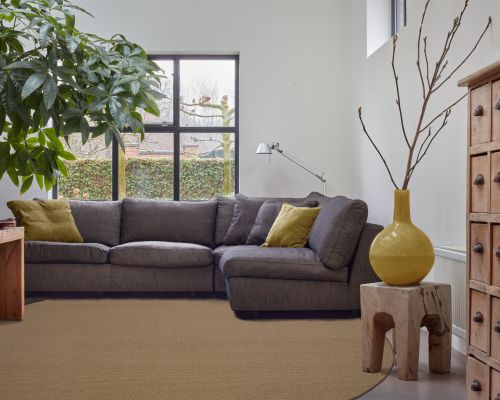 TWN Carpets
