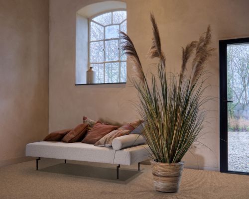 TWN Carpets