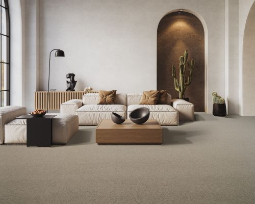 TWN Carpets
