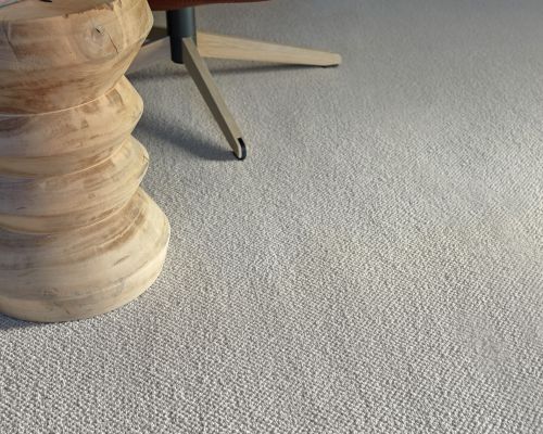 TWN Carpets