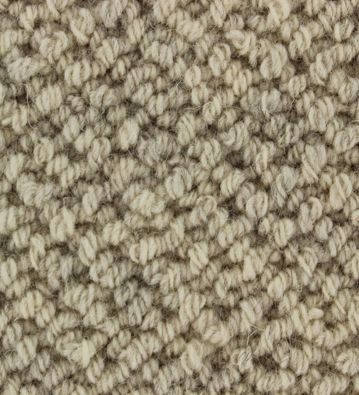 TWN Carpets