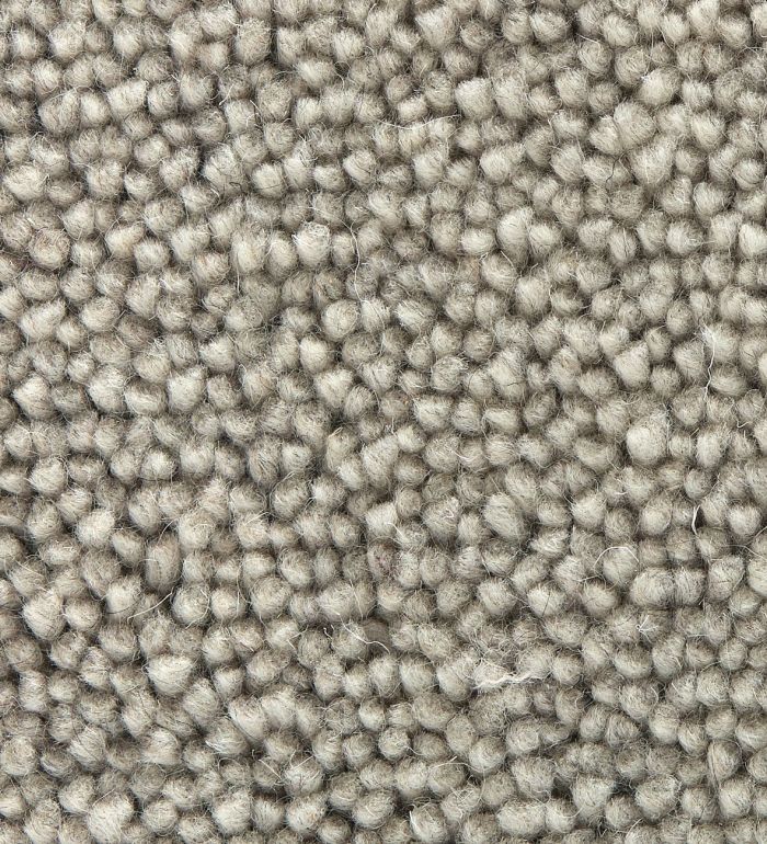 TWN Carpets