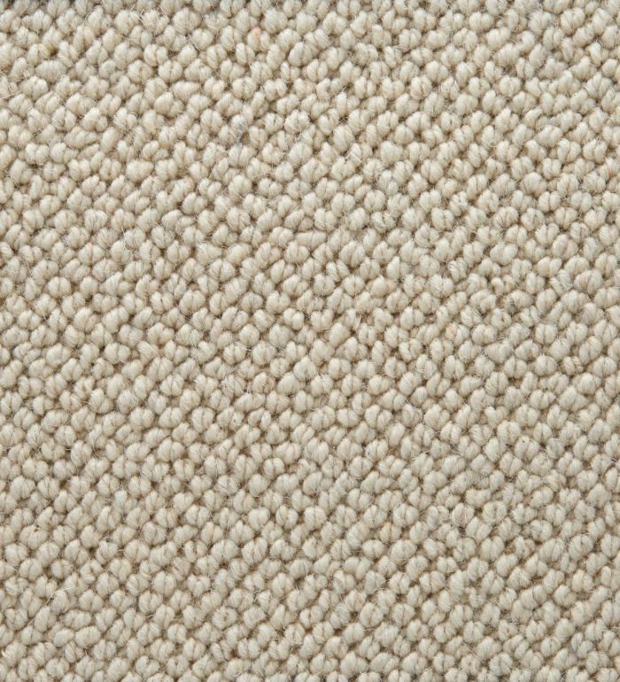 TWN Carpets