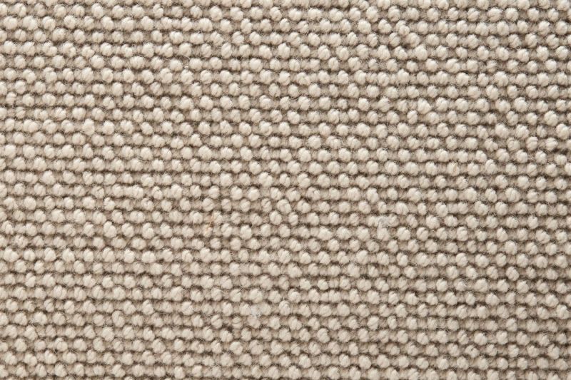 TWN Carpets