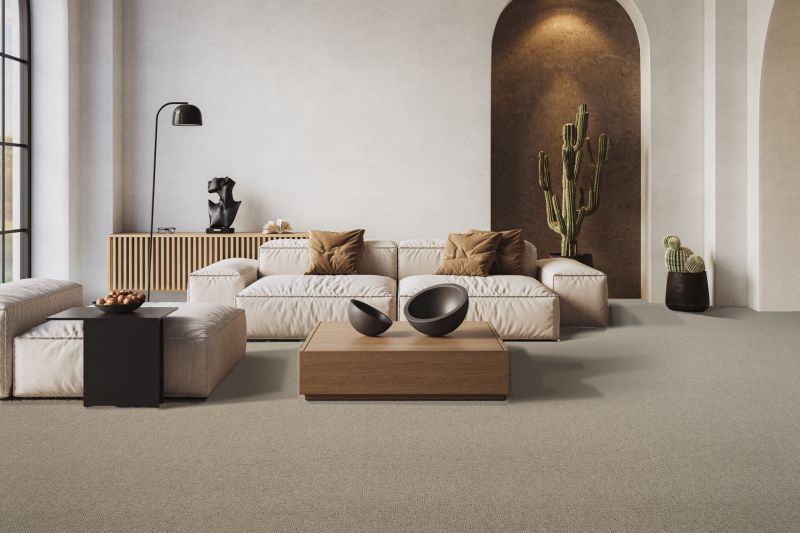 TWN Carpets