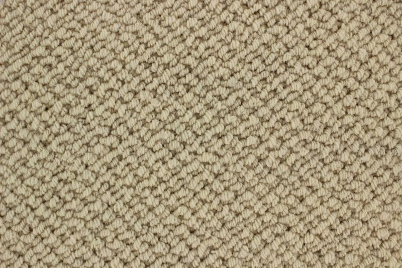 TWN Carpets