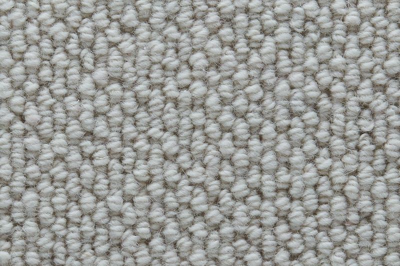 TWN Carpets
