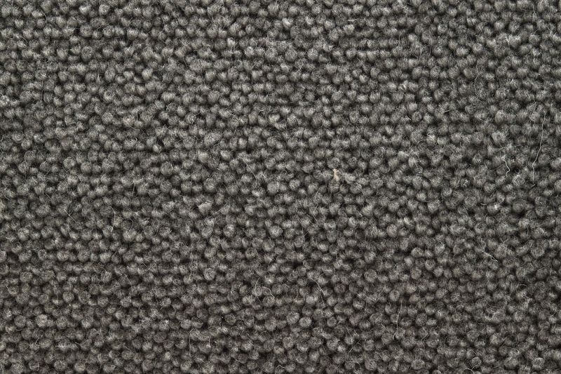 TWN Carpets