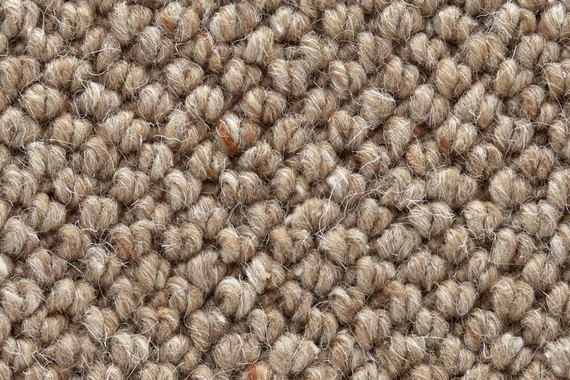 TWN Carpets